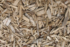biomass boilers Llangwyfan